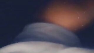 Quick Nut in the Car