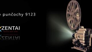 Seamless Stockings Dresses Beautiful Woman.