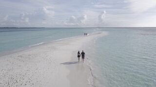 Community_2021/02/26 11:03