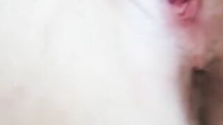 tumblr wildpussygirl.mp4