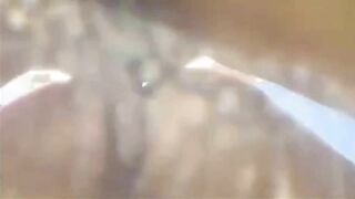 Sunbathing Adventure in Nature