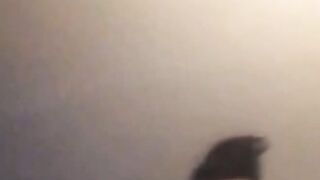 Ebony Fingering Pussy Hard!!!!!!