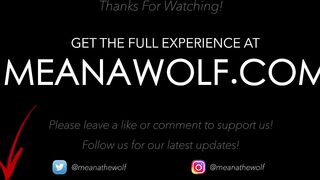 Attention - Meana Wolf