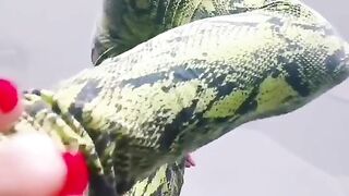 CRUSH POV GIANTESS DEBORA- Step step on you