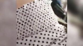 Vietnamese gf fucked secretly while roommate comes to close the door