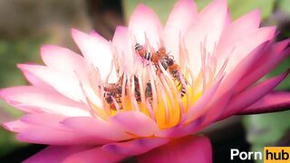 Public_2022/01/15 14:31