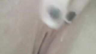 Big dildo in my pussy