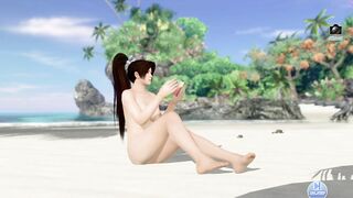 DEAD OR ALIVE XVV Gravure Panels (Momiji 1-4)