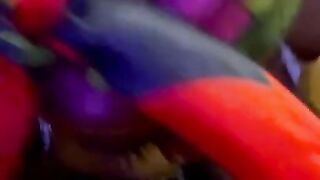 69 Blowjob with my ex's brother