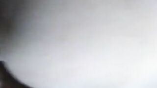 Riding The White Pony