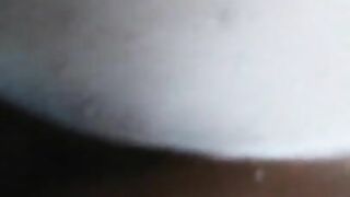 Riding The White Pony