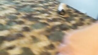 Warming my Ass up for BBC