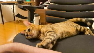 Pussy carefully sucks your fingers into its mouth and cleans them ... . You get wet with saliva.