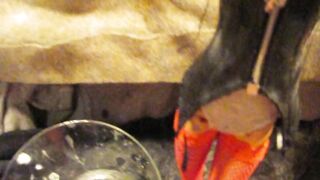 2019 Savannah Cum Receptacle + tit pour CUMSHOT only variant