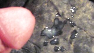 2019 Savannah Cum Receptacle + tit pour CUMSHOT only variant