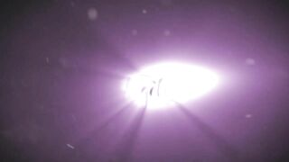 Soft, Warm, Pink / TransAngels