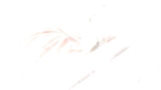 AURBEAUREAL se gode dans le TGV