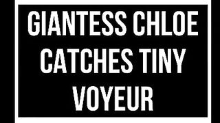 Giantess Chloe Catches Tiny Voyuer