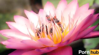 Public_2022/08/21 14:55