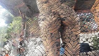 Peppermint Sexy Lace Tease