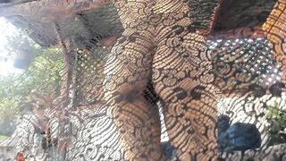 Peppermint Sexy Lace Tease