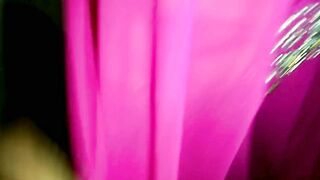 Rajasthani indian bhabhi suck penis dever.