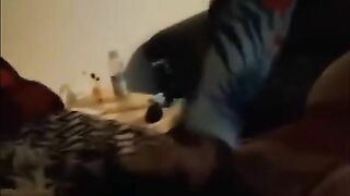 Fucking a fan while he watches my video