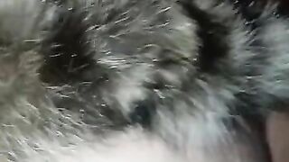 Le pegó rica cogida a mi esposa y le pongo su colita ala zorra