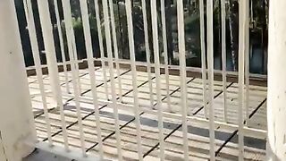 College girl gives a spontaneous public blowjob and almost gets caught