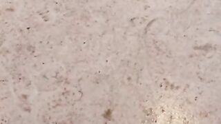 Transition not completed pt.10 XXX edition