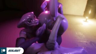 Furri Anal Hard Fucked Huge Dick Until Cum