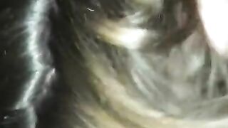 Wife makes video blowing her boy toy for cuck husband