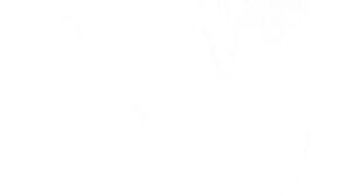 Ersties- Hot Lesbian 3 Way with a Dildo