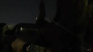 fucking on hood of car almost caught