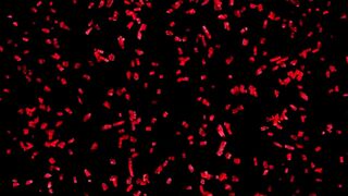 Cum Cum And Creampies - Big Tits - Sperma-Milf Dacada 30805