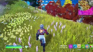 THE LAST 5 SECONDS ARE COOL / FORTNITE