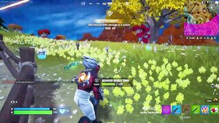 THE LAST 5 SECONDS ARE COOL / FORTNITE