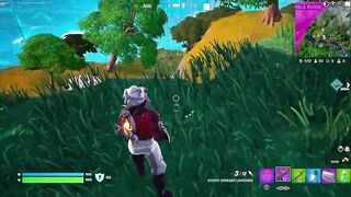 THE LAST 5 SECONDS ARE COOL / FORTNITE