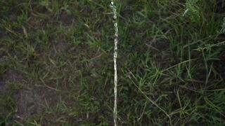 hairy natural girl on the meadow