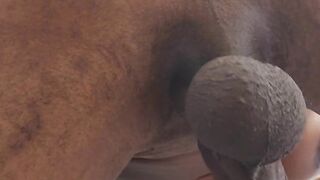 butt plug diamond jerking off ebony