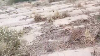 I Have Sex Outdoors with a Follower, Outdoors 100% Real