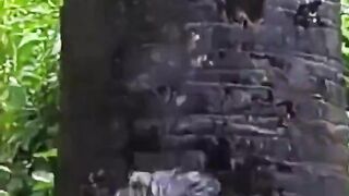 Sexy Sonakshi Hot and Sexy Body