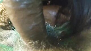 Sexy Desi Stepdaughter Sucking Dick and Fucking