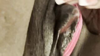 Edging Fat Wet Pussy Hard W Nipple Clamps & Lace Light Touch Big Clit BigContractions TightPussy????