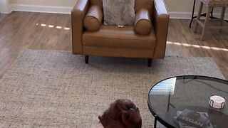 One Thing I Love is Sucking Dick