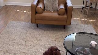 One Thing I Love is Sucking Dick