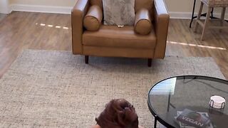 One Thing I Love is Sucking Dick