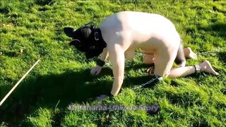 VOST engl - Animalisation 5 dans le jardin pour cette femelle inférieure nue.