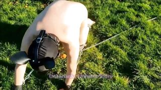 VOST engl - Animalisation 5 dans le jardin pour cette femelle inférieure nue.