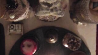 2026/05/01 - Zen Practice – Altar Offering